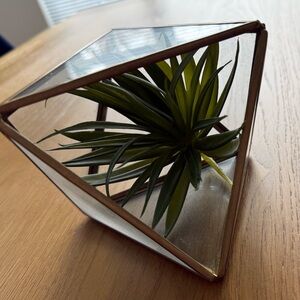 West Elm Open Terrarium